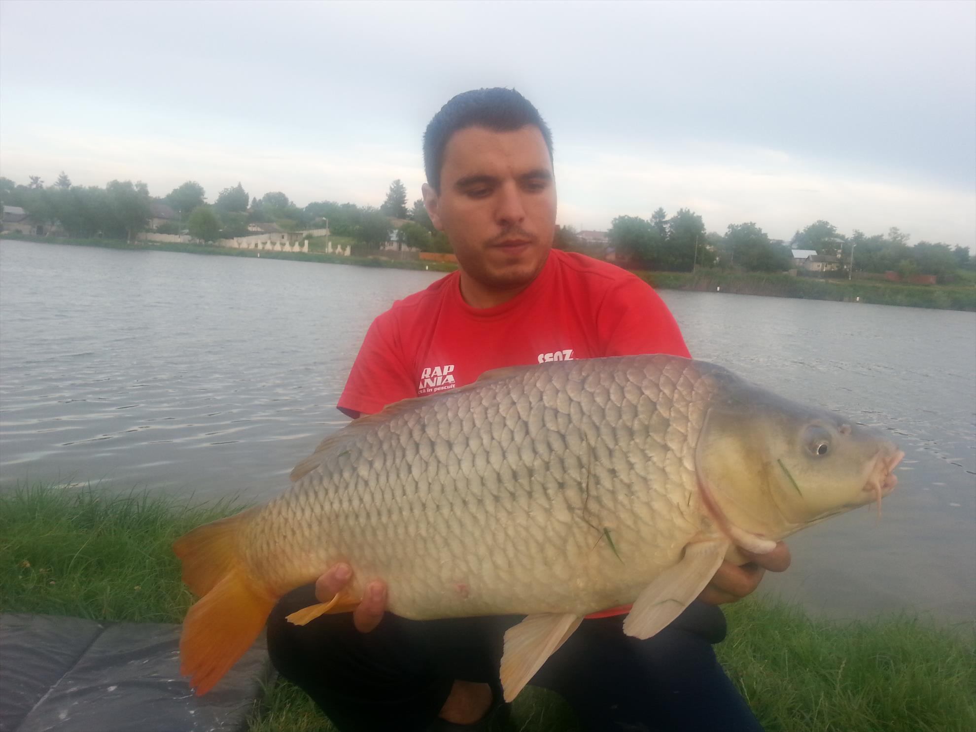 Moara Vlasiei 2 15 - 16 iulie 2014 - 20140715200538.jpg